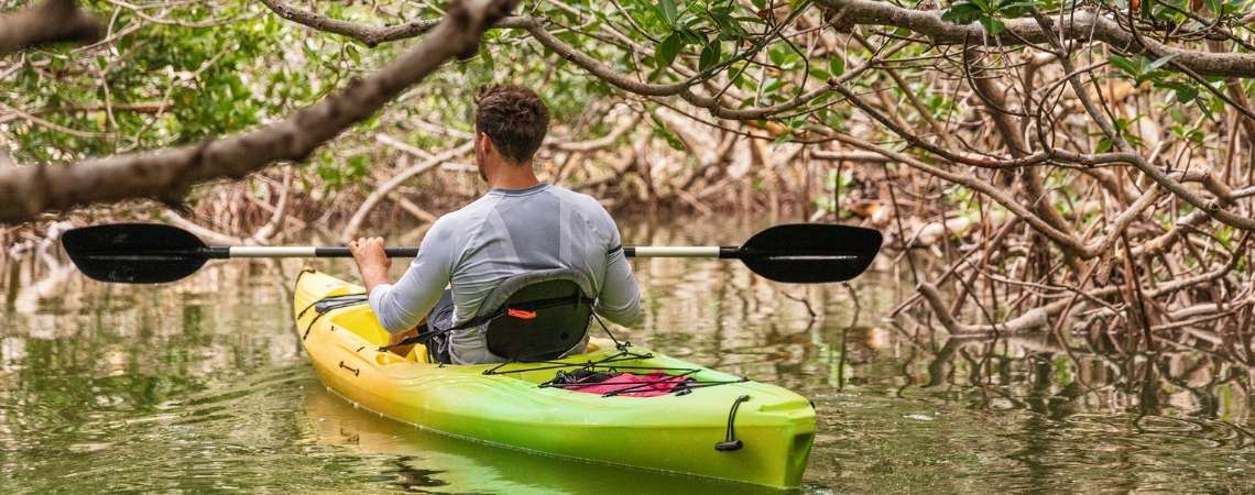 Mangrove National Park