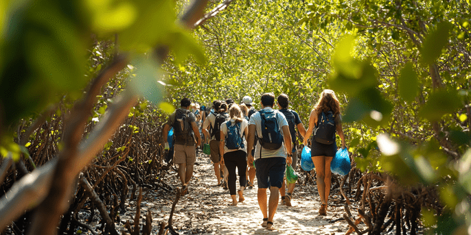 Explore the Mangrove Forest on Foot