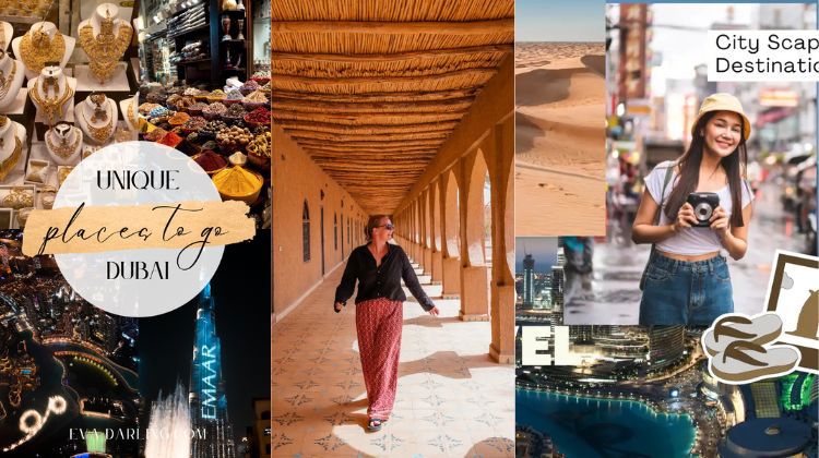 Plan Attractions Around Discounts