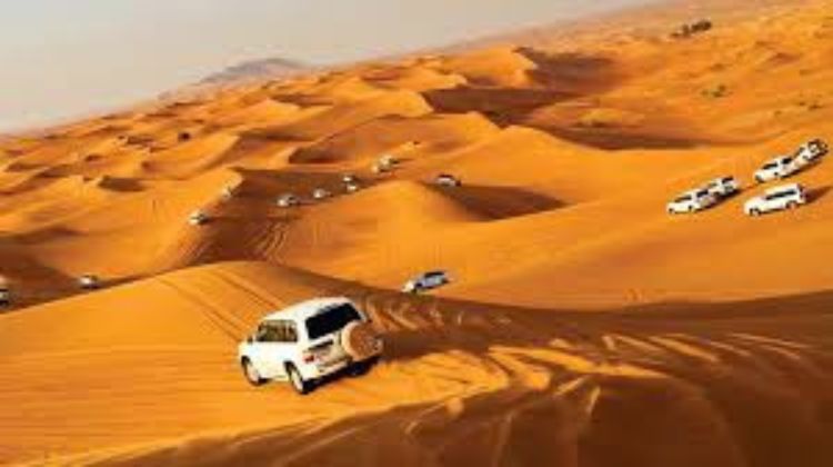 Desert Safari Adventures