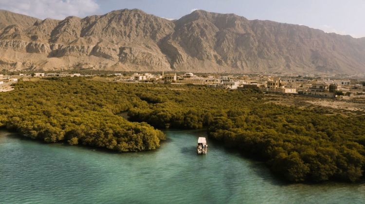 RAK Mangrove Walk (Natural Trail)