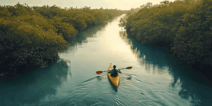 Eastern Mangroves, Abu Dhabi