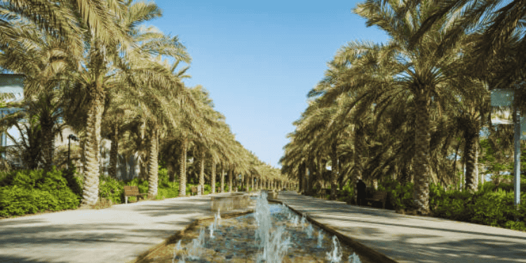 Umm Al Emarat Park