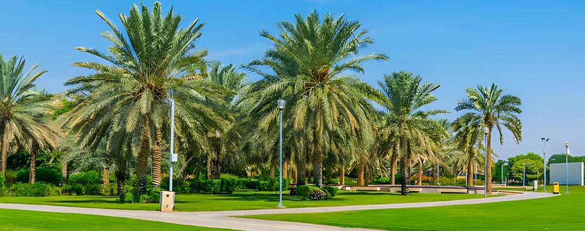 Have a Picnic at Al Hisn Park